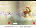 Zeszyt A4 42 kartki linia Chiara Castellini