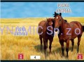 Zeszyt A5 42 kart.kratka Pigna Animal