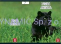 Zeszyt A5 42 kart.kratka Pigna Animal