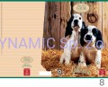 Zeszyt A5 42 kartek kratka Pigna Nature Amici