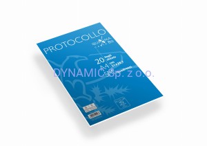 Papier podaniowy A4 20 arkuszy w kratkę