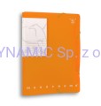 Teczka z gumką i wewnętrznymi przegrodami 33,3x23,5x3cm Polipropylen