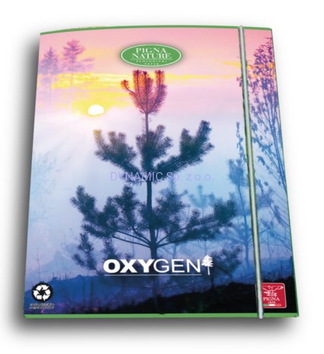 Teczka kartonowa z gumką 26x34,7cm Pigna Nature Oxygen