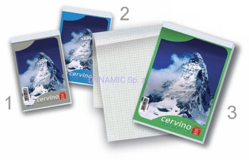 Notes A4 50 kartek kratka Cervino