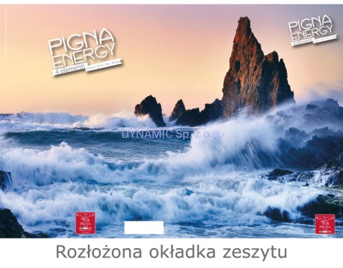 Zeszyt A4 42 kartki linia Pigna Energy