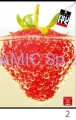 Zeszyt A4 42 kartek linia Fruits