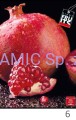 Zeszyt A4 42 kartek linia Fruits