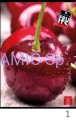 Zeszyt A4 42 kartek linia Fruits