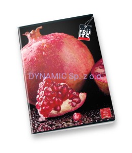 Zeszyt A4 42 kartek linia Fruits