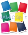 Zeszyt A5 42 kartki kratka Pigna Colours