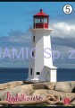 Zeszyt A4 42 kartek linia Lighthouse