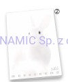 Zeszyt A4 38 kartek linia Pigna Monocromo White