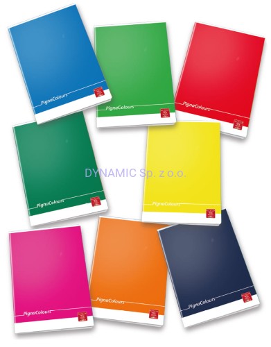 Zeszyt A4 42 kartki kratka Pigna Colours