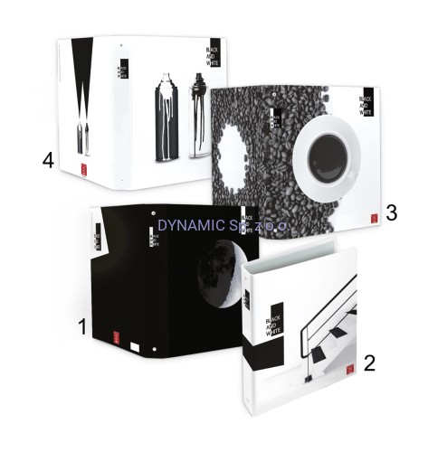 Segregator A4 4 ringi Pigna Black & White
