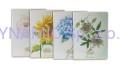 0232610_FLOWERS SPECIAL Allegro- Composizione.jpg