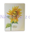 0232610_FLOWERS SPECIAL MAXI PM_02Allegro.jpg