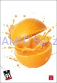 04 PIGNA FRUITS MAXI Allegro.jpg