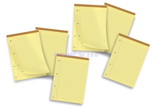 Notes A4 Legal Pigna linia żółty papier